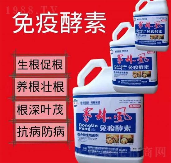 ���߽���-�r(n��ng)���L-��S��