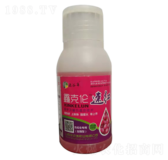 鑫克倫速紅-豐收源