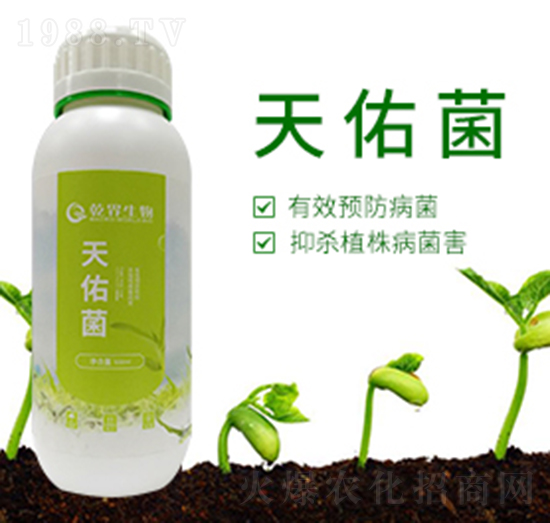 ���Ӿ�-Ǭ������