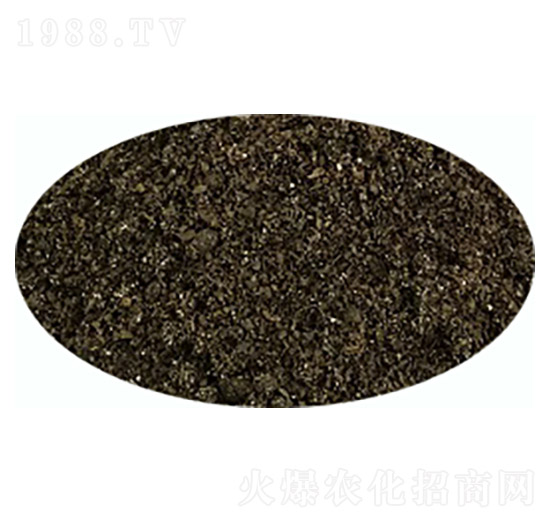 �ͺ�΢�����-��ꖿƼ�