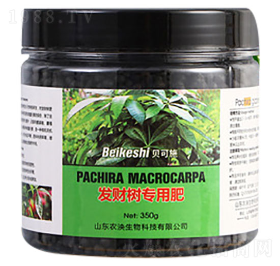 發(fā)財(cái)樹專用肥料-貝可施-農(nóng)泱生物