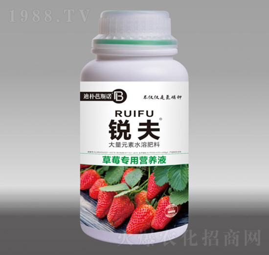 草莓專用營(yíng)養(yǎng)液-銳夫-迪樸芭斯諾