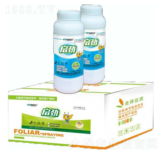 啟勁（藍(lán)）-綠四方