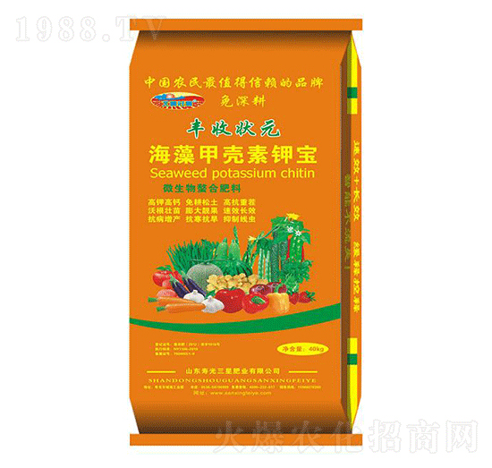 ����ך���⛌�-�S�ՠ�Ԫ-���ǷʘI(y��)