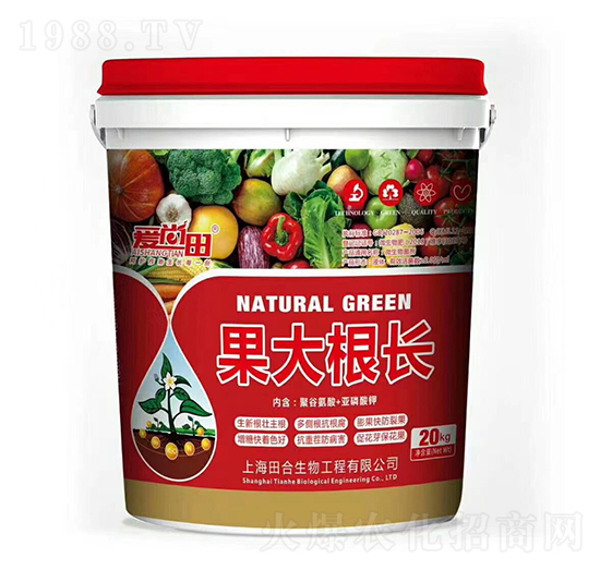 �����������L(zh��ng)-�������