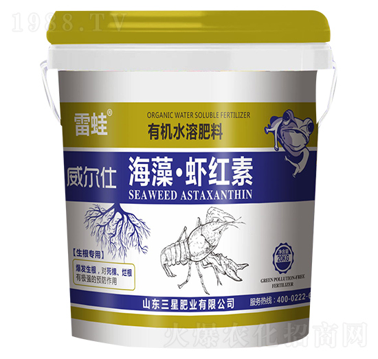 �����r�t��-����-���ǷʘI(y��)