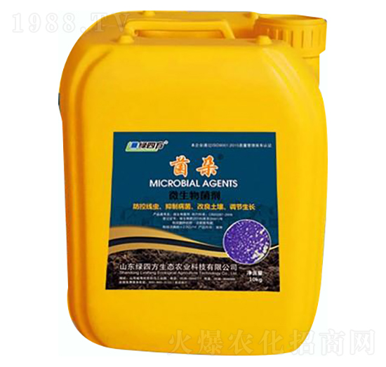 菌朵淡紫紫孢菌-綠四方