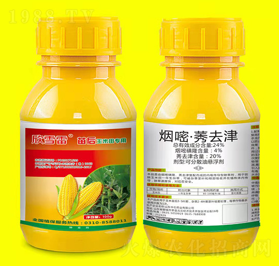 玉米田苗后專用除草劑-欣雪雷