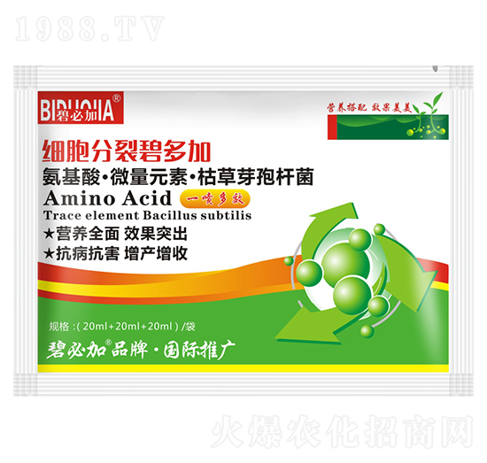 細(xì)胞分裂碧多加-鑫禾生物