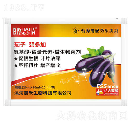 茄子碧多加-鑫禾生物