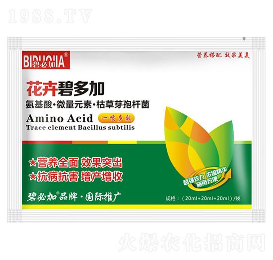 花卉碧多加-鑫禾生物