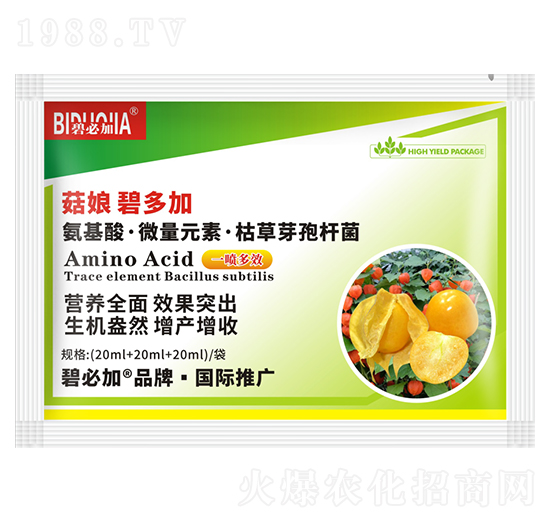 菇娘碧多加-鑫禾生物