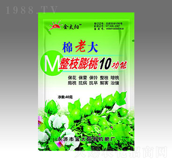 ���ϴ���֦����10����-�������