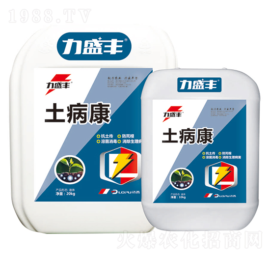 ������-����