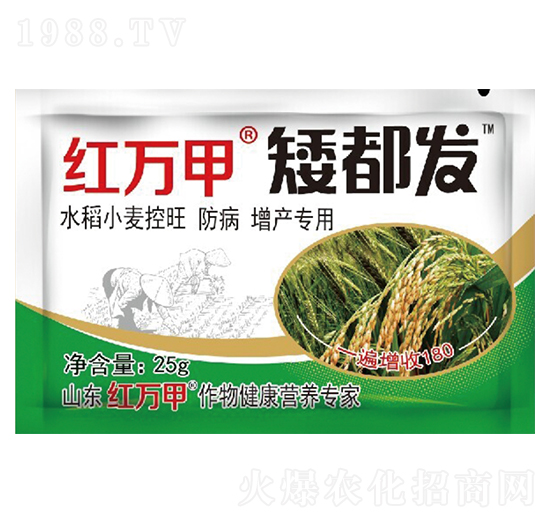 �����l(f��)-�����󶹌���-�t�f��