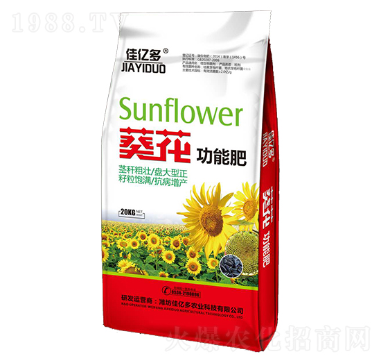 �������ܷ�-�у|��