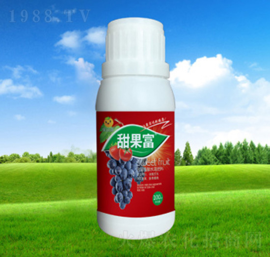 �����-���_(d��)���ʘI(y��)