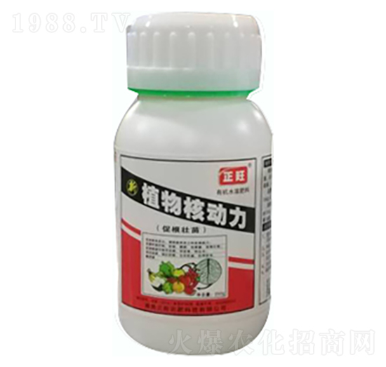 ֲ��˄���-�����r��