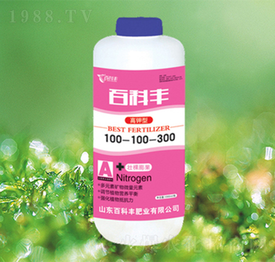 �����100-100-300-�ٿ��S