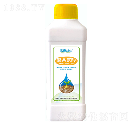 �۹Ȱ���-���d����