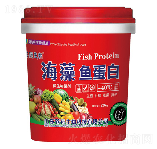 �����~���ס�΢�������-�n�h����