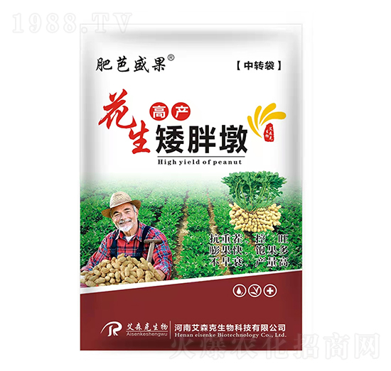 花生高產(chǎn)矮胖墩-肥芭盛果-愛(ài)森克