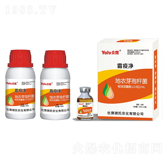 ����ѿ�ߗU��-˪�߃�-�x���r��