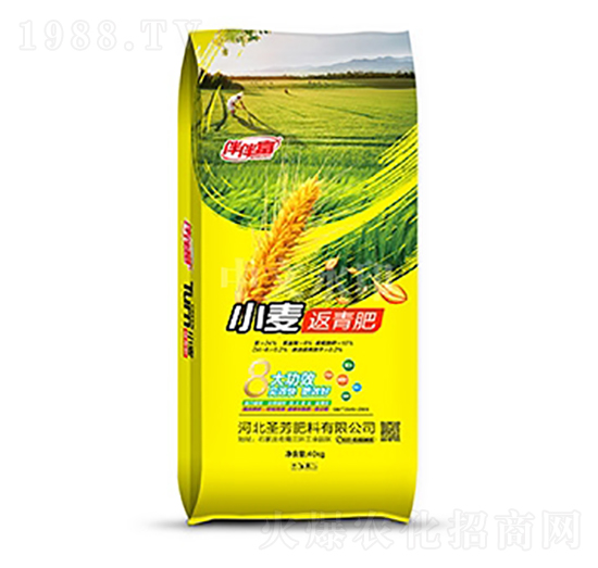 小麥返青肥-伴伴富-中農(nóng)三禾