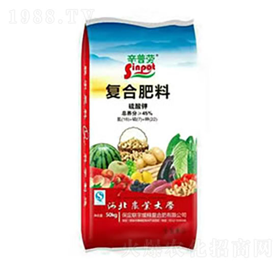 ����⛏ͺϷ���-��