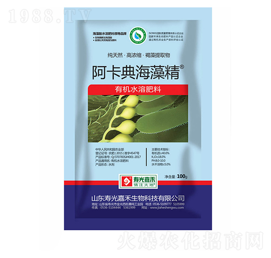 �����亣�徫-�۹�κ�