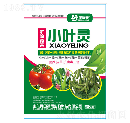 小葉靈-秀田潤禾