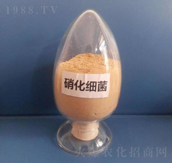 ������(x��)�����ۄ���-��������