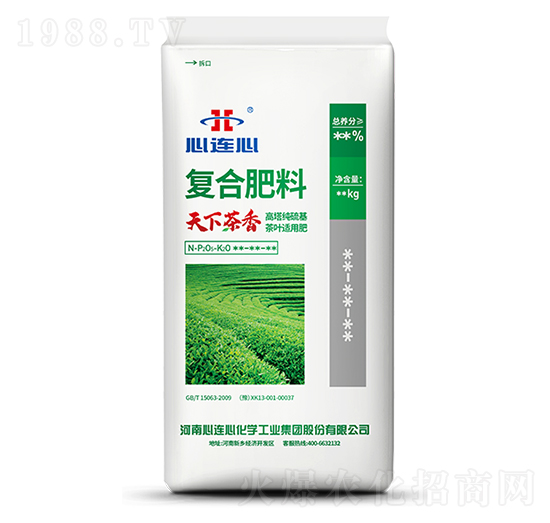 天下茶香復合肥-心連心