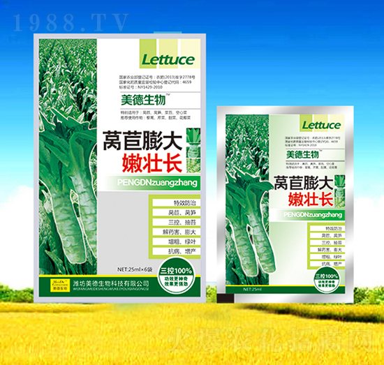 萵苣膨大嫩壯長(zhǎng)-美德生物