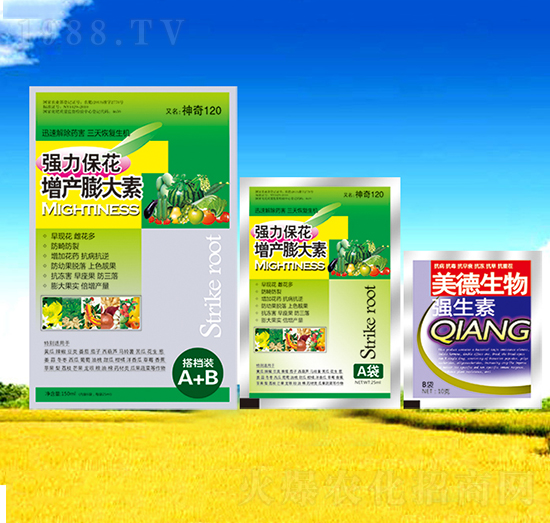 �������a(ch��n)�����-��������