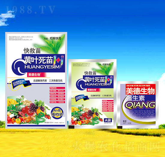 ������S�~����1+1-��������