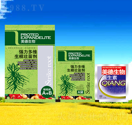 ��S�������焩-��������