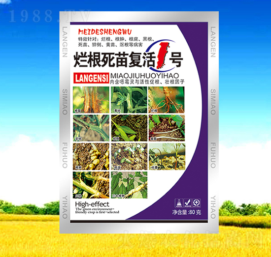 ���������(f��)��1̖-��������