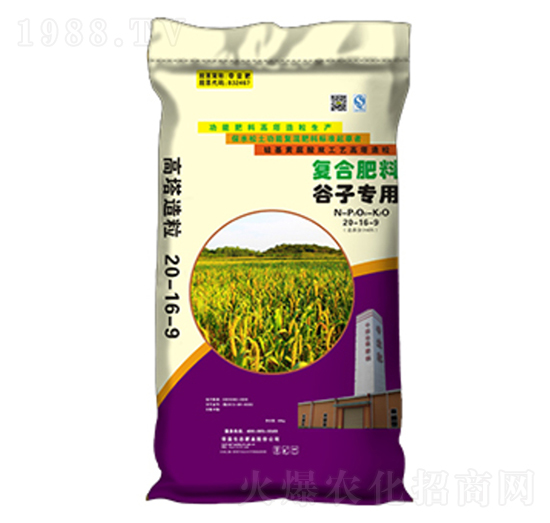 ���ӌ��ø�����(f��)�Ϸ�20-16-9-�����