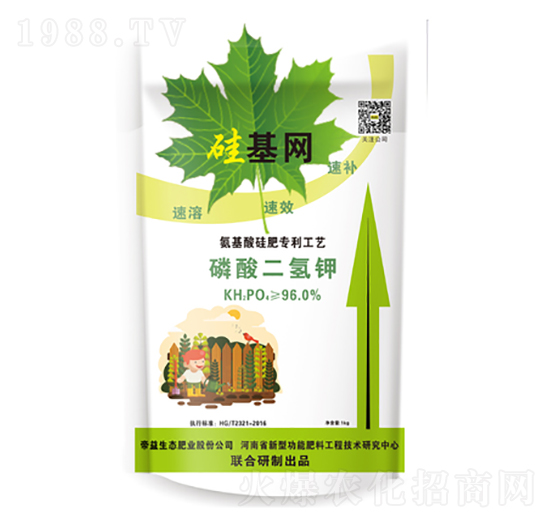 ��������-����W(w��ng)-�����