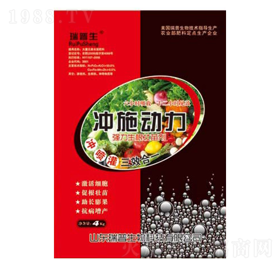 �_ʩ����-��������