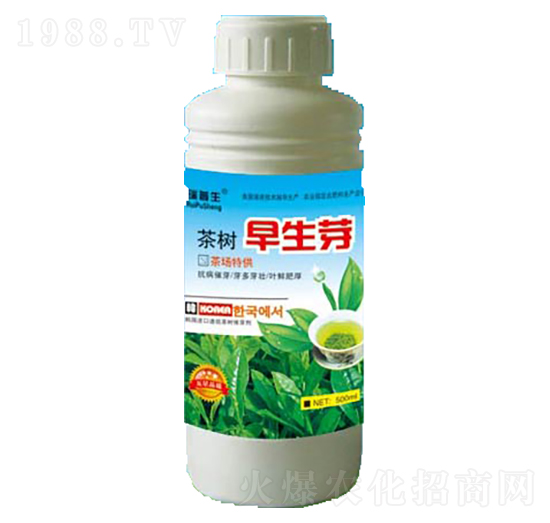 �������ѿ-��������