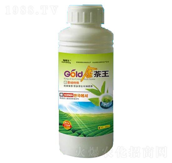 �����-��������