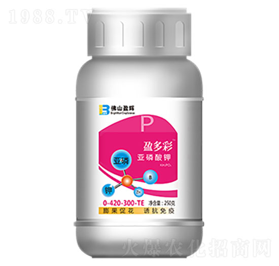 250g�������-ӯ���-ӯ�x