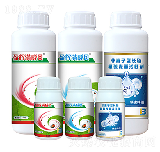 盈輝滿威風組合-盈輝