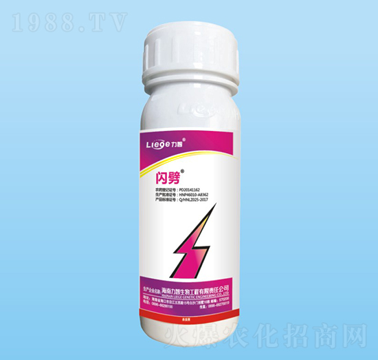 �W�����x��-��������