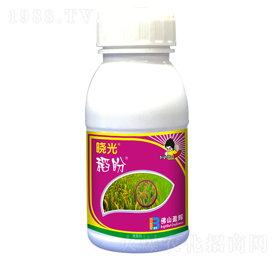 50%���ݰ�-�Թ⵾��-ӯ�x