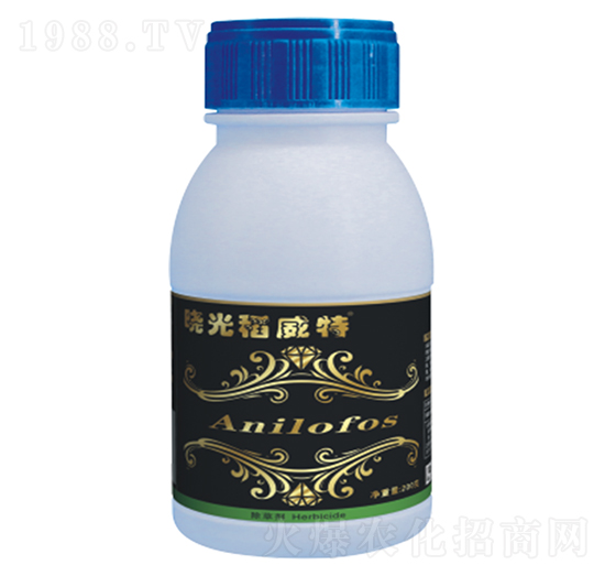 40%ɯ����-�Թ⵾����-ӯ�x