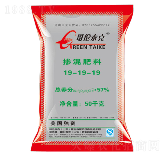 �������19-19-19-�炐̩��