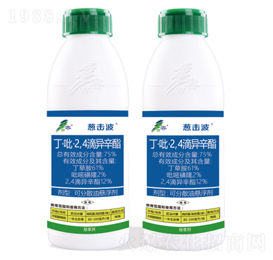 75%��������2��4���ή���֬-�[����-����